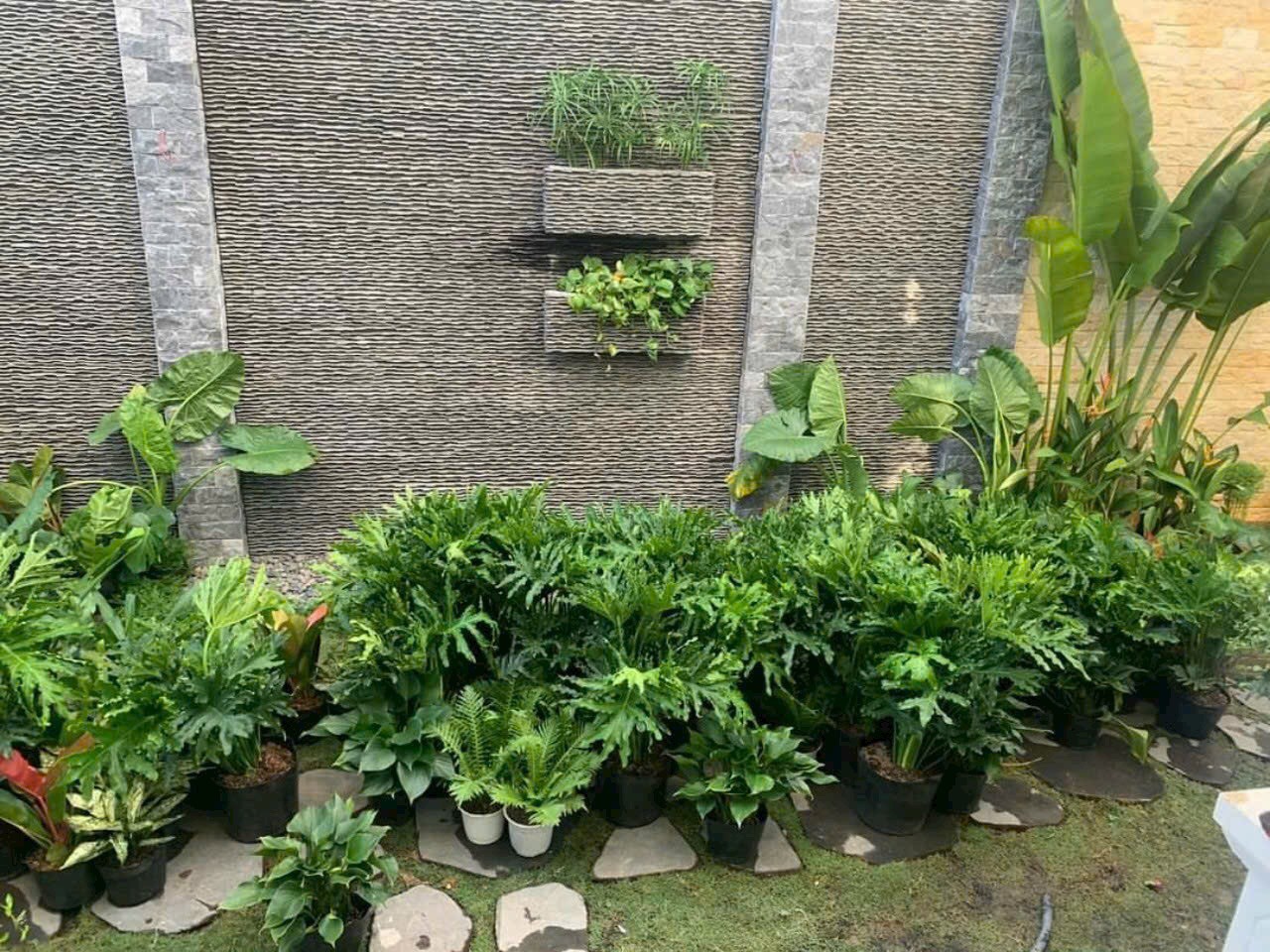 z6491345169486_fe671c6715317406c587f15fd2a7b325 z6491345169486_fe671c6715317406c587f15fd2a7b325