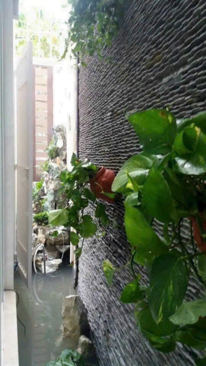 z6491345203364_04615727181b2f03f37076d0edeba7d7 z6491345203364_04615727181b2f03f37076d0edeba7d7