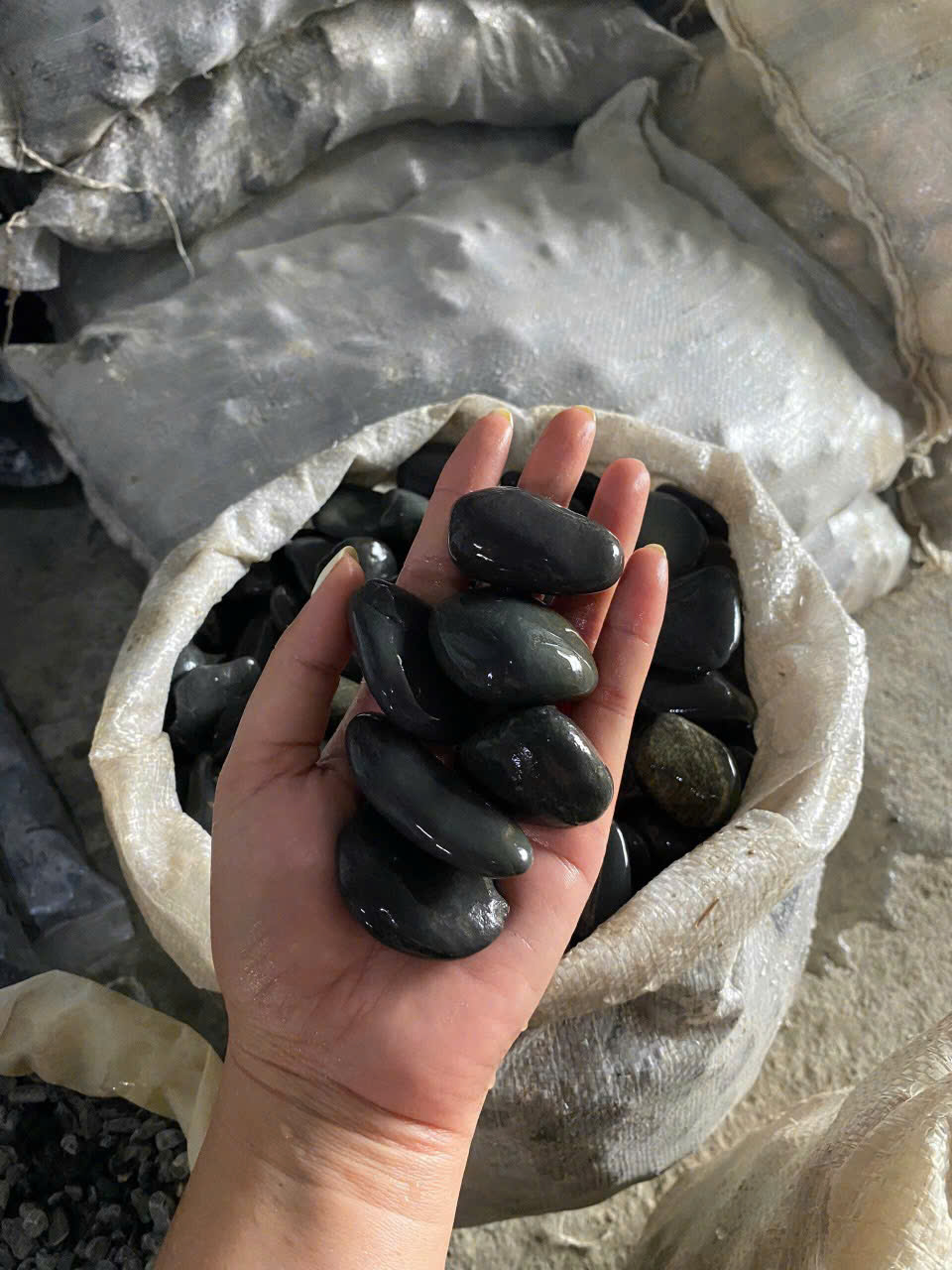 z6472327547034_7ea724b601767ba06f221be25542417c z6472327547034_7ea724b601767ba06f221be25542417c