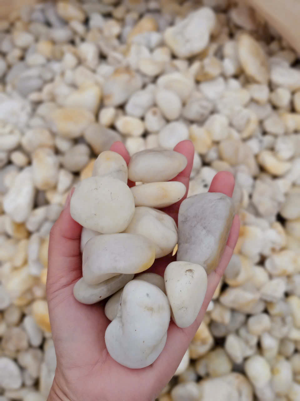 z6472370375223_32ed10cff12f8638ce0dd7e7ebf02ef6 z6472370375223_32ed10cff12f8638ce0dd7e7ebf02ef6