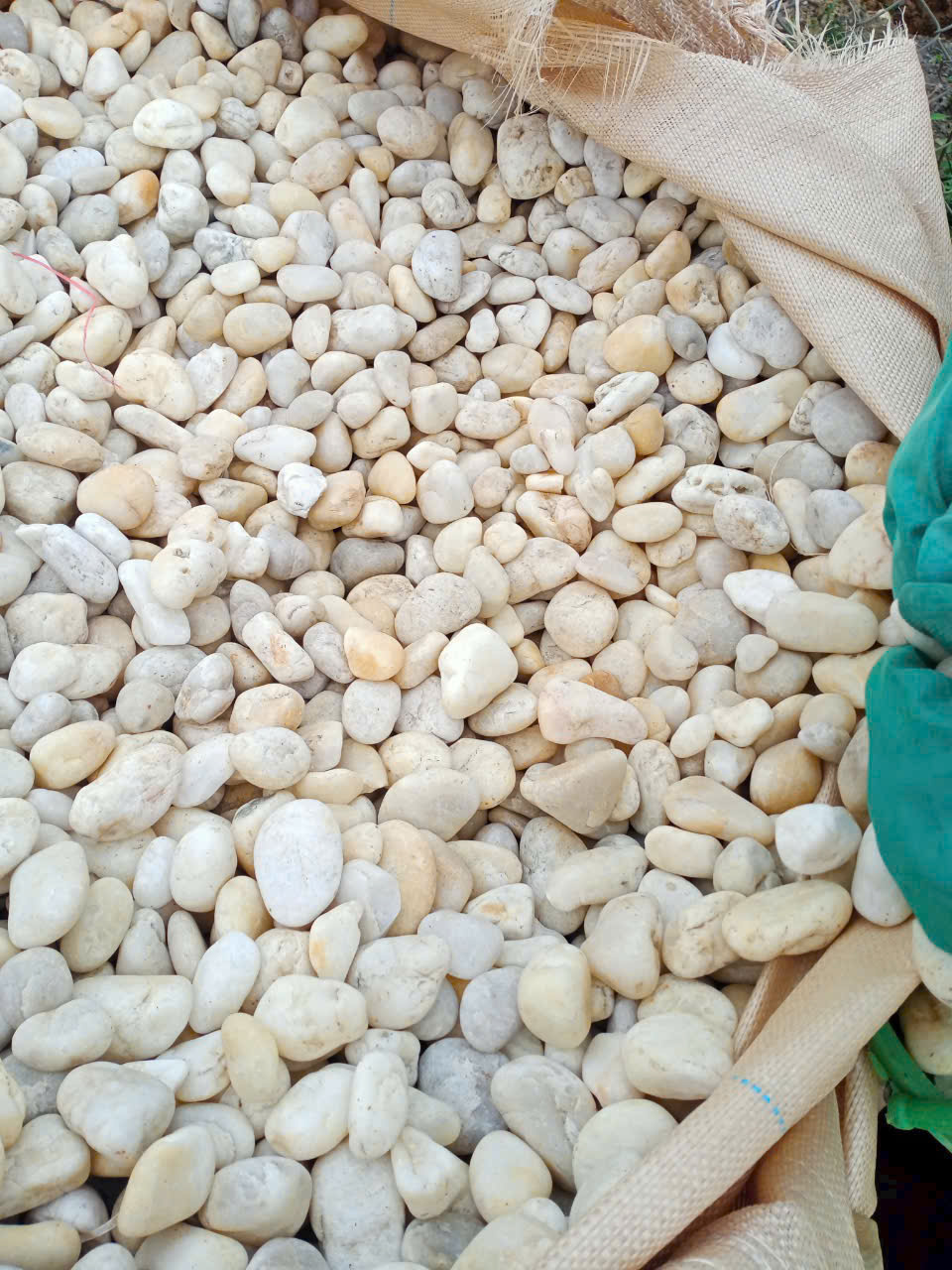 z6472370425096_72e6245e87fe797f64e483c181e15b70 z6472370425096_72e6245e87fe797f64e483c181e15b70