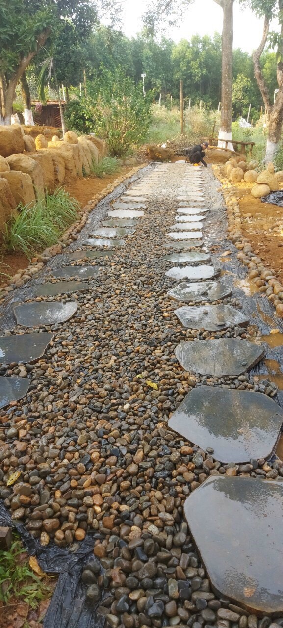 z6472376316425_82324efe204a646dab815500a93112f4 z6472376316425_82324efe204a646dab815500a93112f4