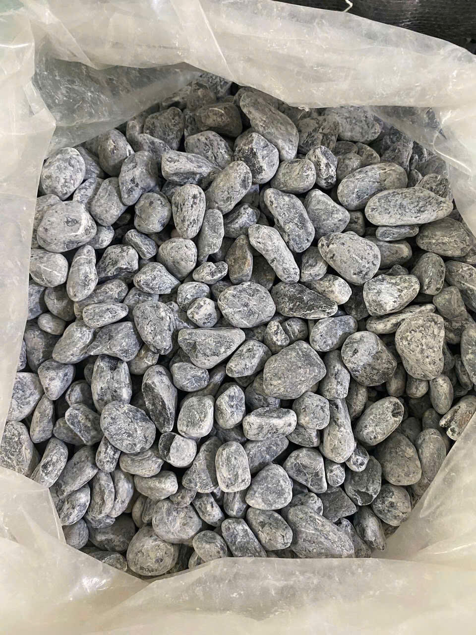 z6472419080623_dfb7db9735629322562a0a48b0e69965 z6472419080623_dfb7db9735629322562a0a48b0e69965