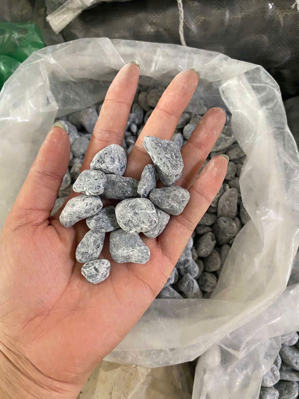 z6472419080883_bdc7cedfdc57a5a523af2dc02f4183d2 z6472419080883_bdc7cedfdc57a5a523af2dc02f4183d2