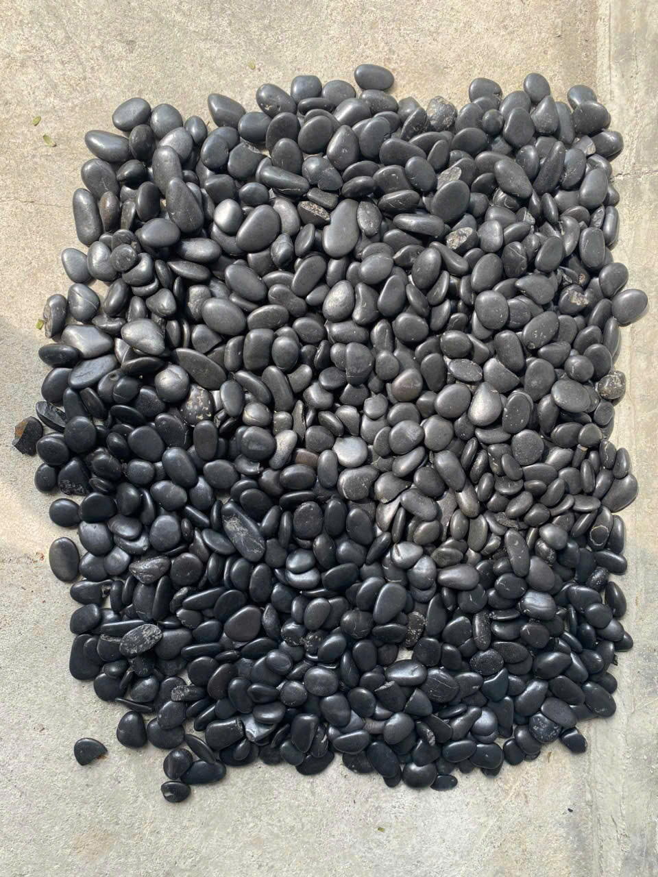 z6472431942343_4317457fa37f69387debd25b7f1d31bf z6472431942343_4317457fa37f69387debd25b7f1d31bf