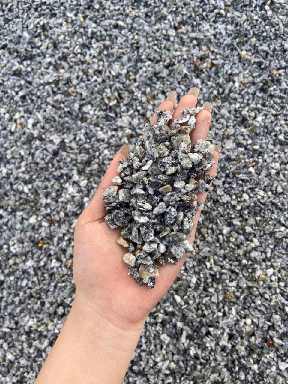 z6472440428321_2db7a66de81b53d55862927ae544f34f z6472440428321_2db7a66de81b53d55862927ae544f34f