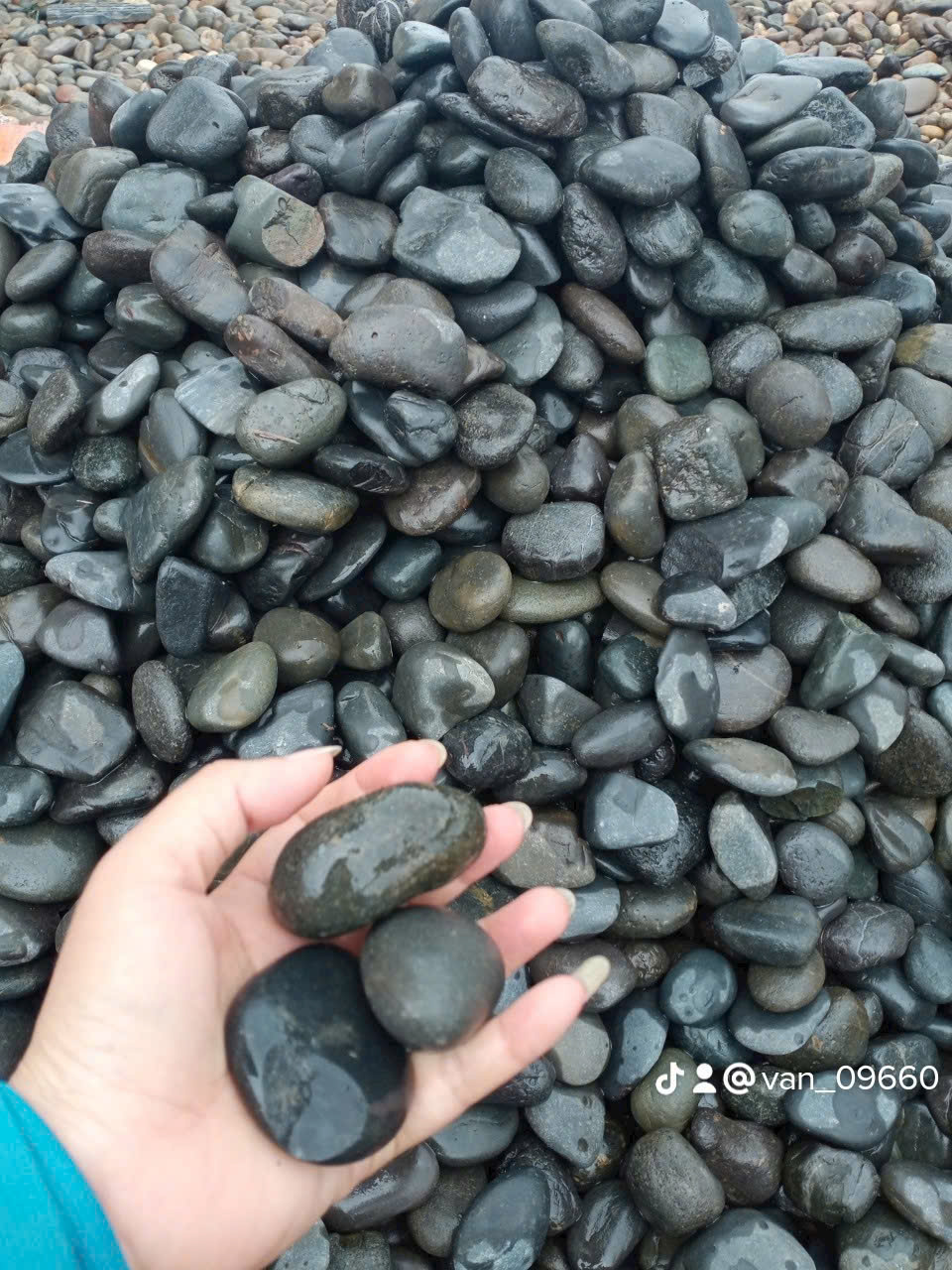 z6491551303208_53e51b76e6f027dac3d7737b132464cd z6491551303208_53e51b76e6f027dac3d7737b132464cd