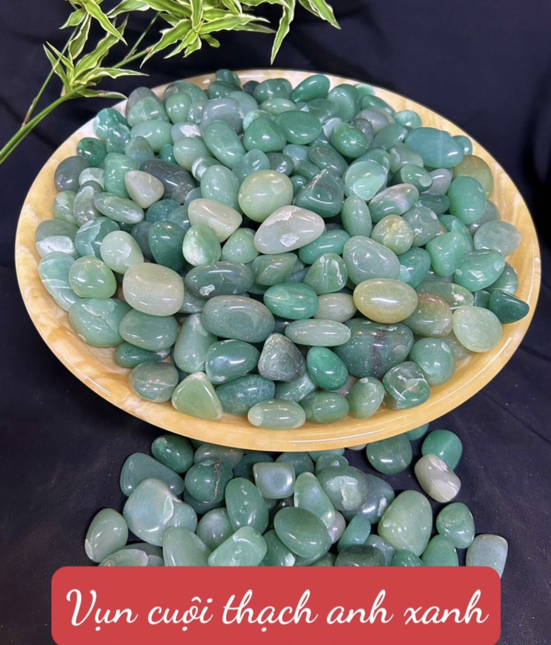 z6491576669263_8847a8d1d825d96027924efaefd9af68 z6491576669263_8847a8d1d825d96027924efaefd9af68