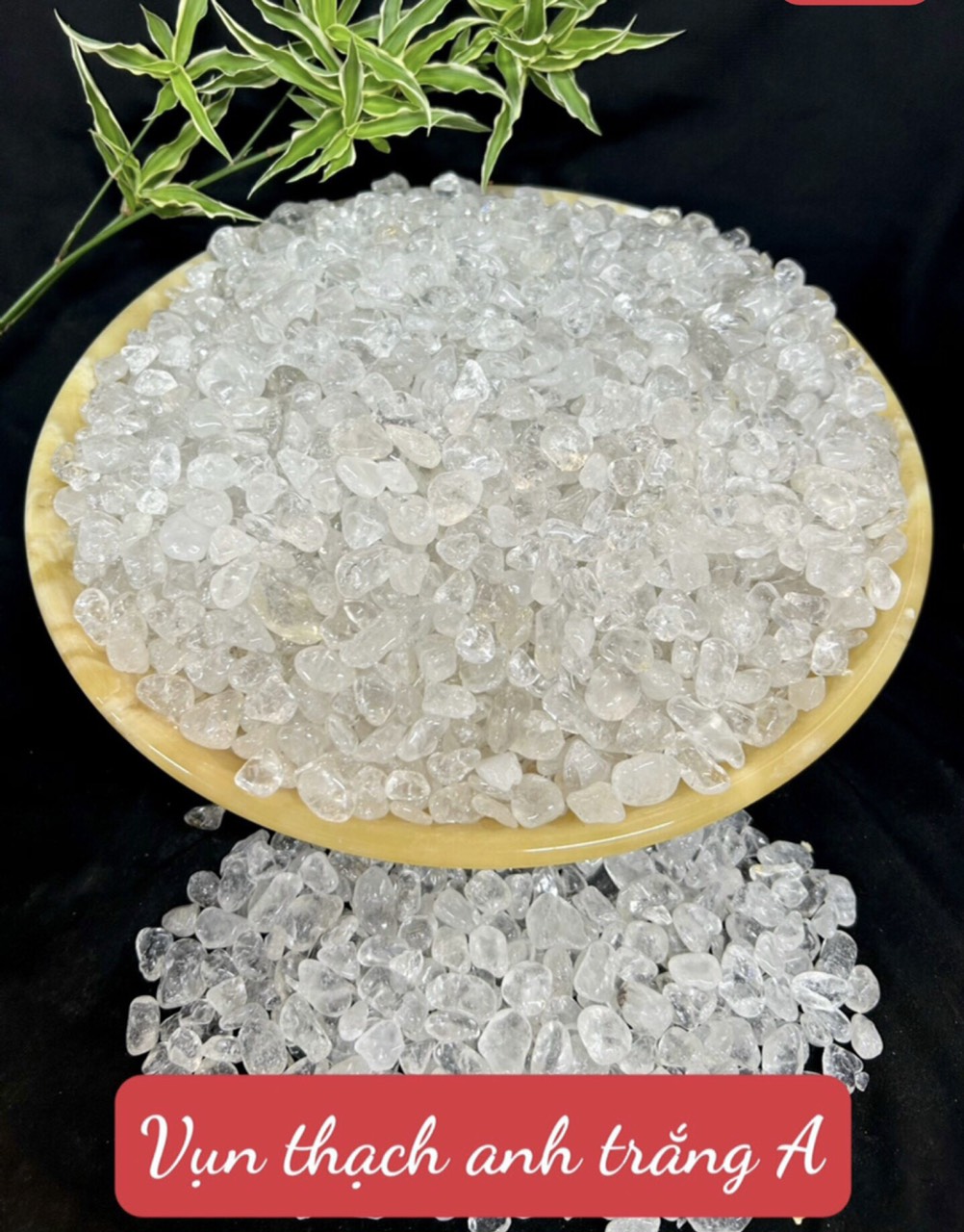 z6491576673066_b8354de19dfa5b55aafe6cae325b909d z6491576673066_b8354de19dfa5b55aafe6cae325b909d