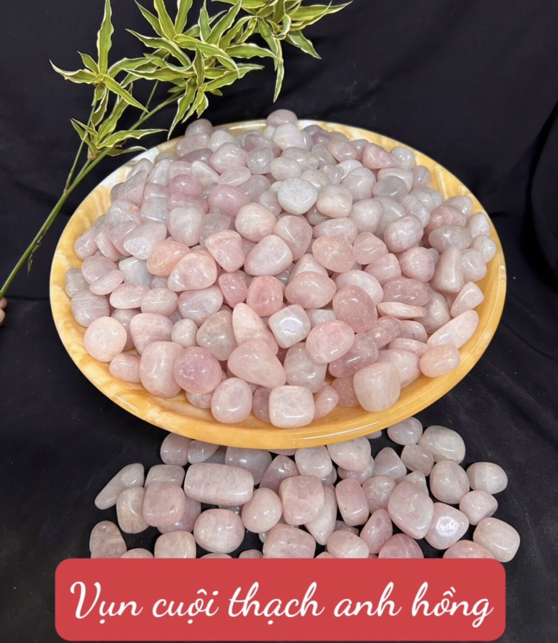 z6491576679777_8298fd01a0cd926f0f3e6c12ae989a73 z6491576679777_8298fd01a0cd926f0f3e6c12ae989a73