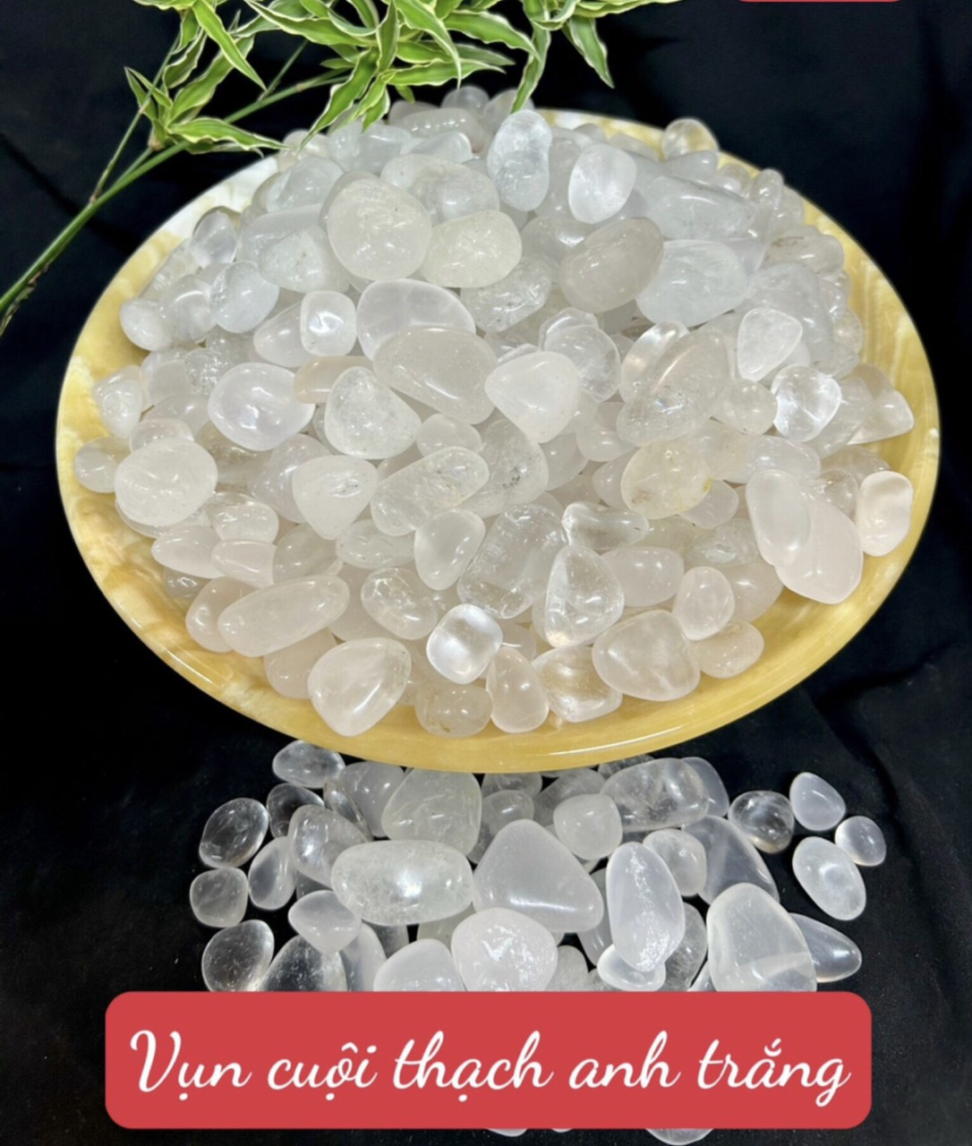 z6491576697445_d8df1a7ead4551e5169fcccb9f74c002 z6491576697445_d8df1a7ead4551e5169fcccb9f74c002