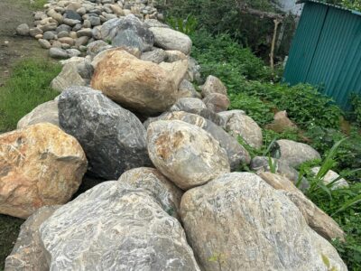 z6472513679472_afd63a41701b3b228aa29a0b2f46e095 z6472513679472_afd63a41701b3b228aa29a0b2f46e095