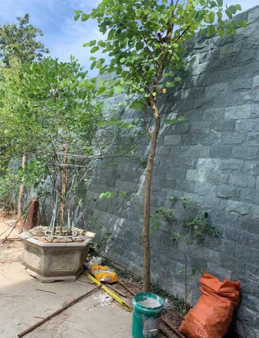 z6490900651134_62de458c6df74c185ab79cebf4448386 z6490900651134_62de458c6df74c185ab79cebf4448386