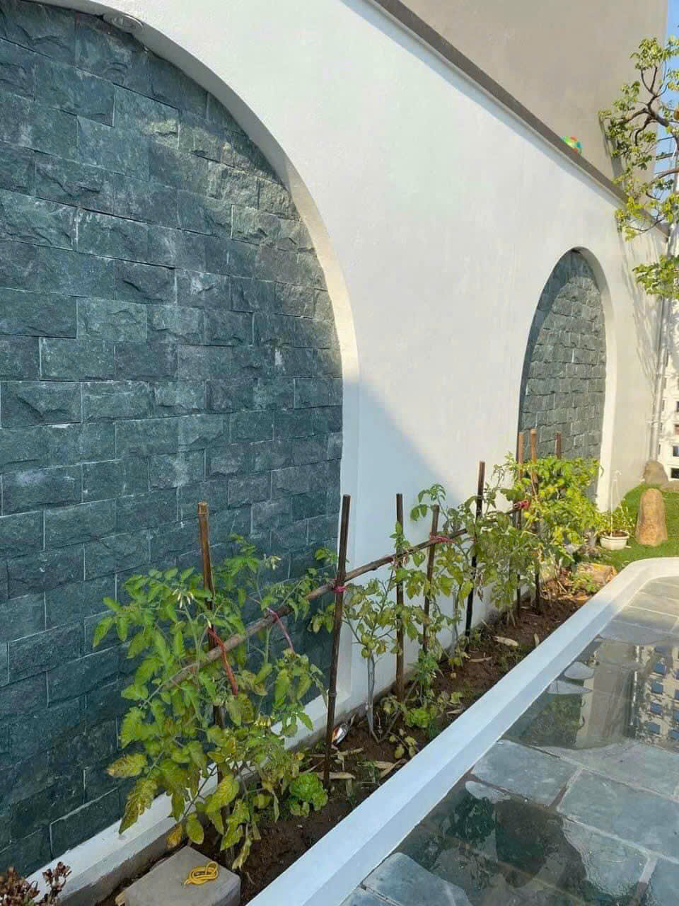 z6490907541537_0791d03e6d81bd41e4a9133d7c1c75fe z6490907541537_0791d03e6d81bd41e4a9133d7c1c75fe