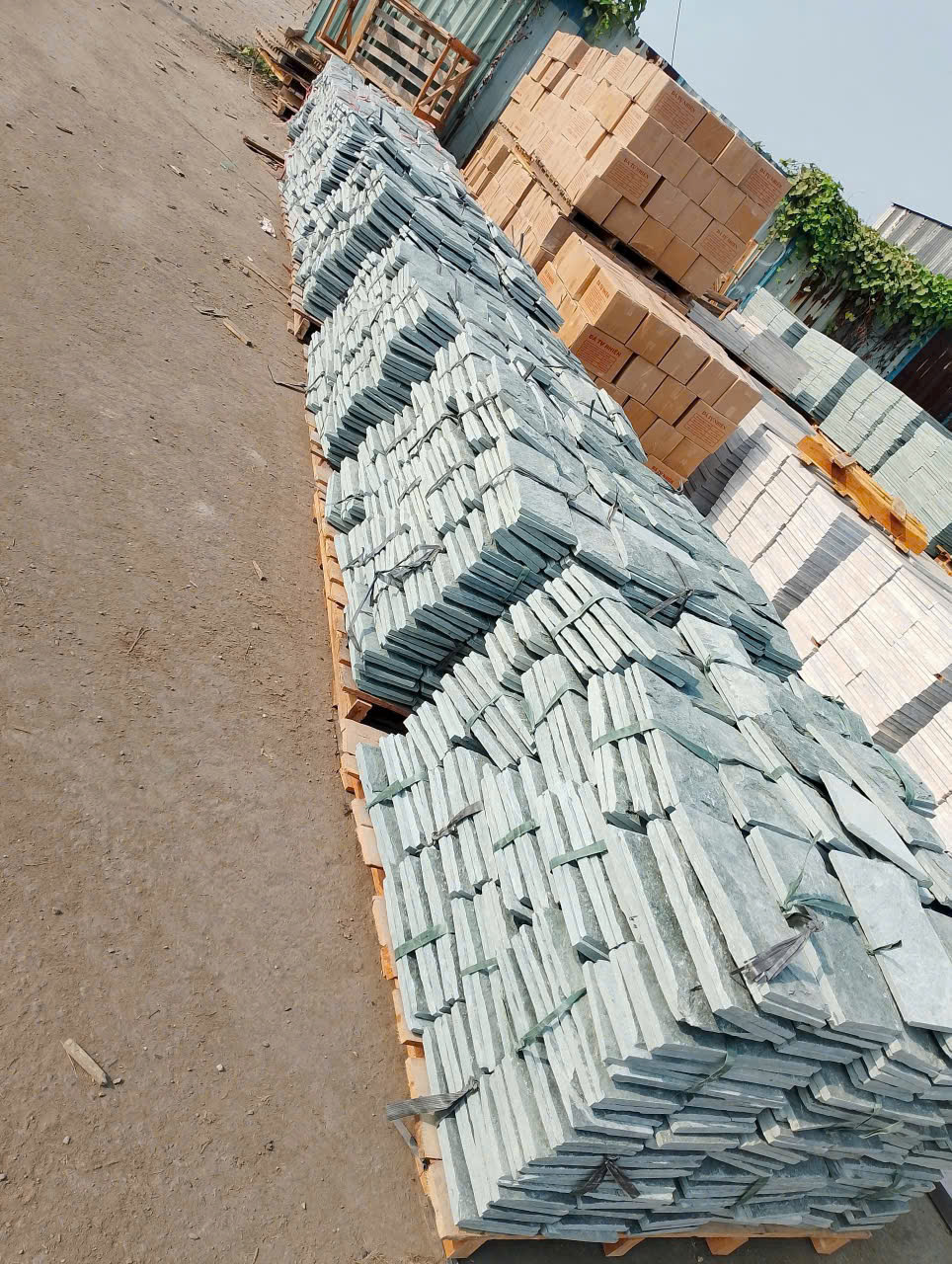 z6490921286465_b555c801f31e3b8d2948cf85dcf7d7f0 z6490921286465_b555c801f31e3b8d2948cf85dcf7d7f0