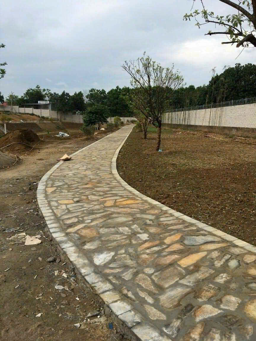 z6491304525958_77a6538440a40ac1516a092fac5264d1 z6491304525958_77a6538440a40ac1516a092fac5264d1