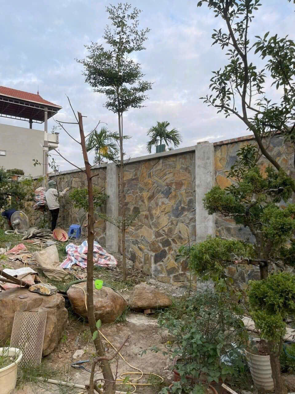 z6491304539224_df3a994365dbb44db259ad27748d3cc2 z6491304539224_df3a994365dbb44db259ad27748d3cc2