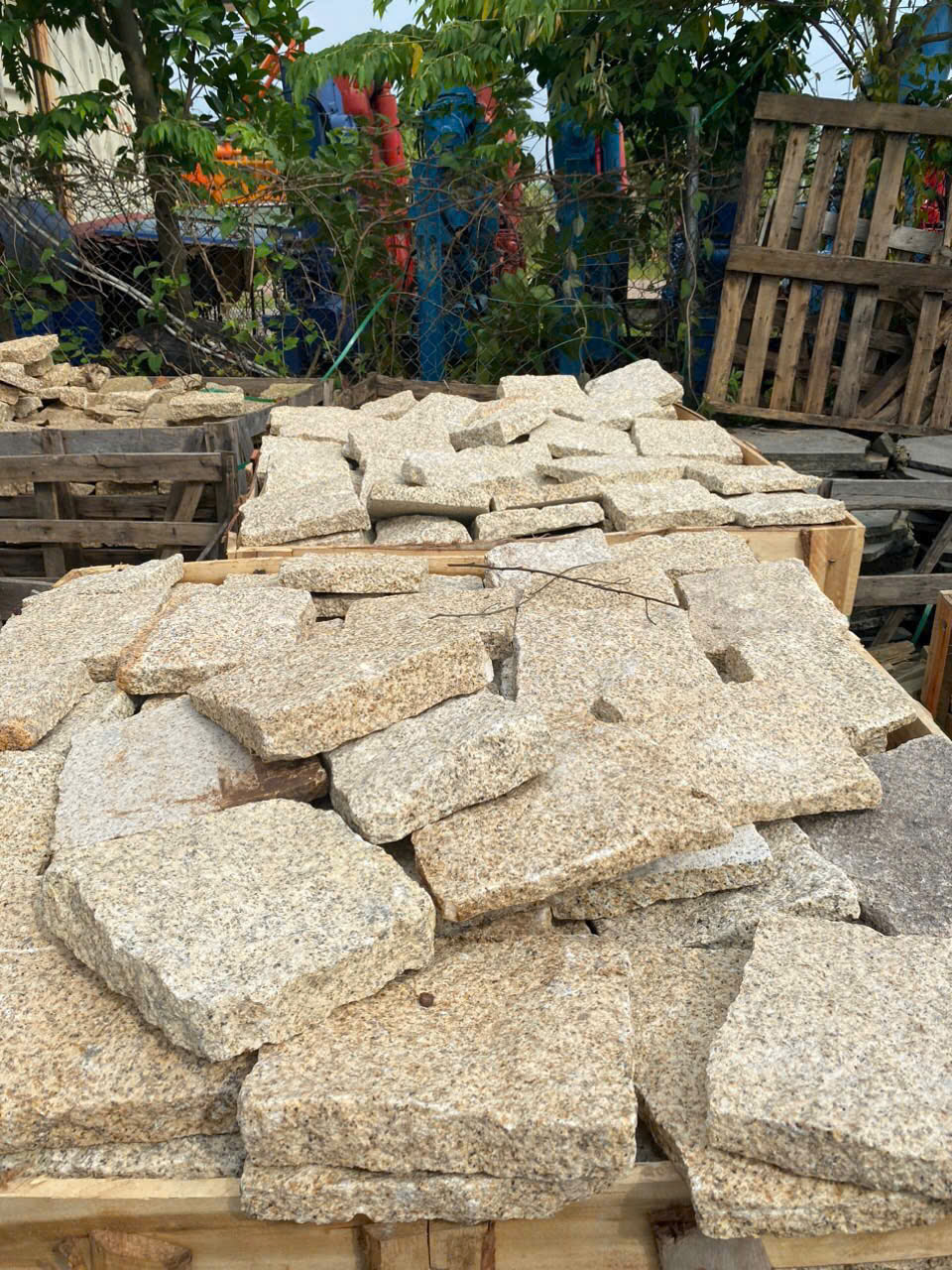 z6491308001204_5ff9d11ecb8c029bd4478cb841c2a636 z6491308001204_5ff9d11ecb8c029bd4478cb841c2a636