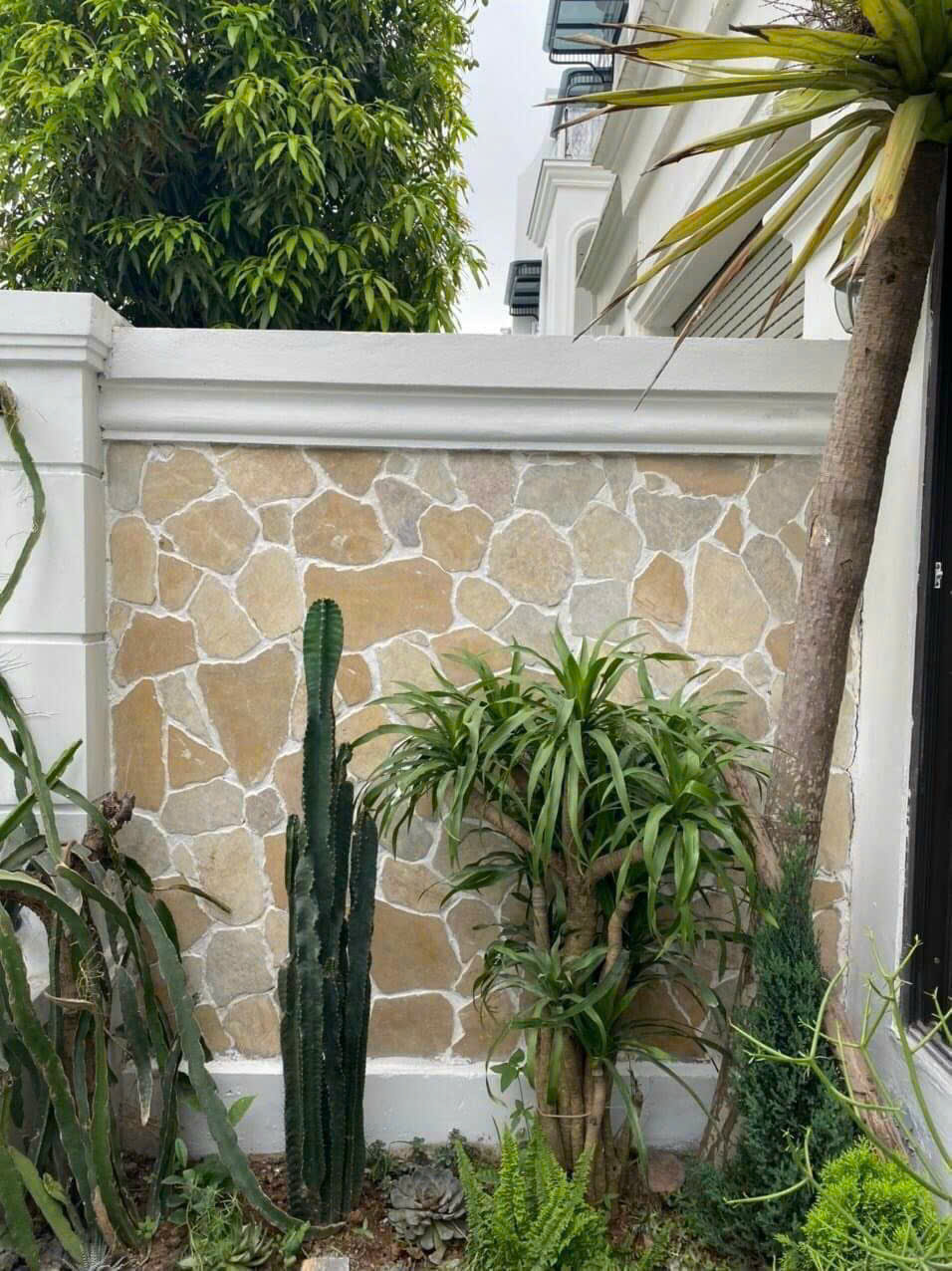 z6491311816253_62d55208642d4200e23ae0a87dbd6ebe z6491311816253_62d55208642d4200e23ae0a87dbd6ebe