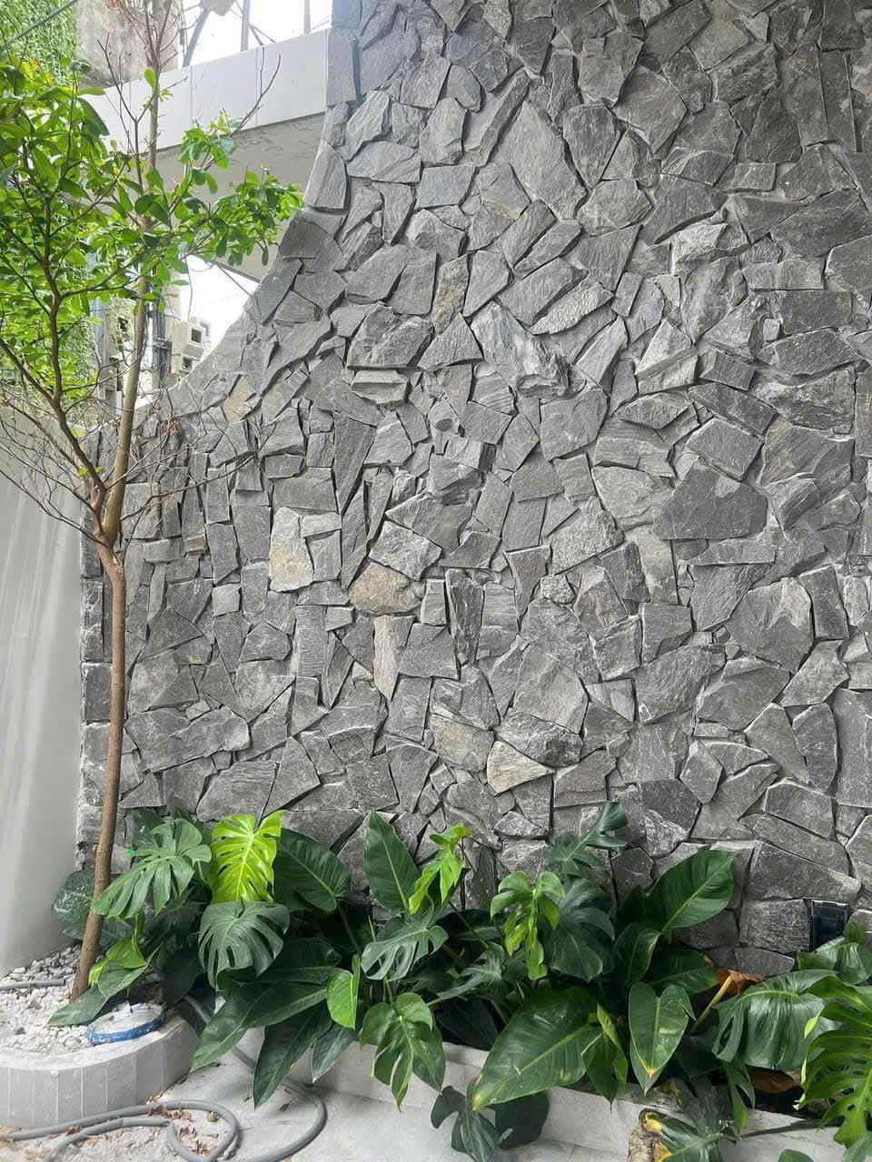 z6491325127782_96142471bec126a70e46ce3a7b13f141 z6491325127782_96142471bec126a70e46ce3a7b13f141