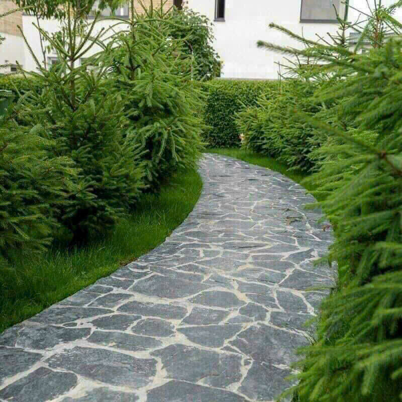 z6491325130316_7c3503e65fae84b5128fcf1244dd1747 z6491325130316_7c3503e65fae84b5128fcf1244dd1747