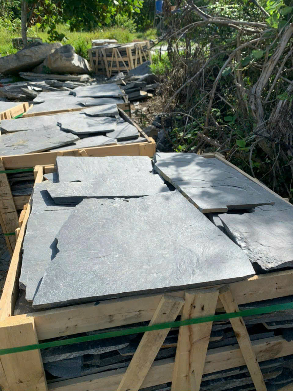 z6491325140347_f70806608eb502027f3b2396885d36d0 z6491325140347_f70806608eb502027f3b2396885d36d0