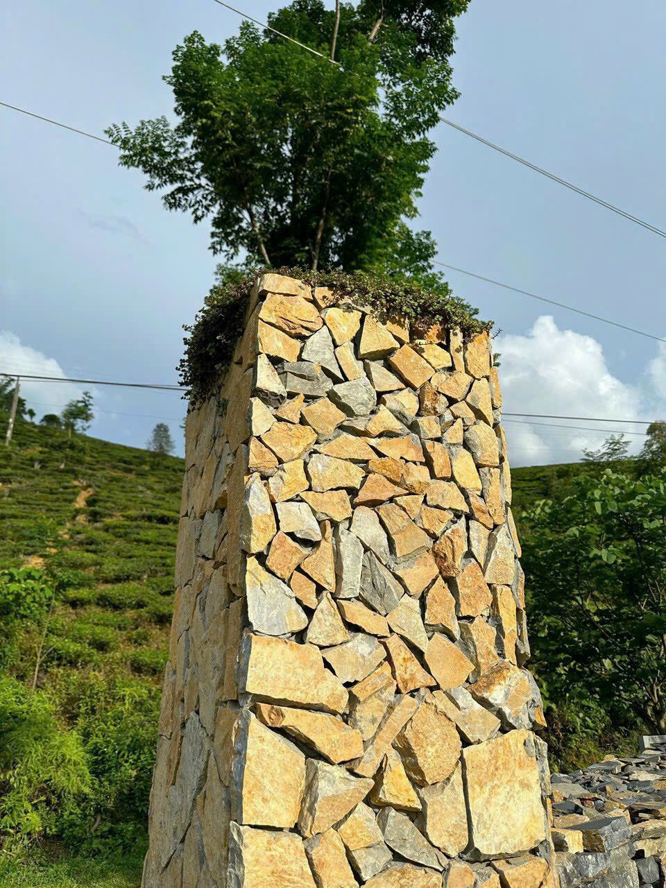 z6491331286123_2e6071a5673a18d0f40c726afa5a5dbf z6491331286123_2e6071a5673a18d0f40c726afa5a5dbf