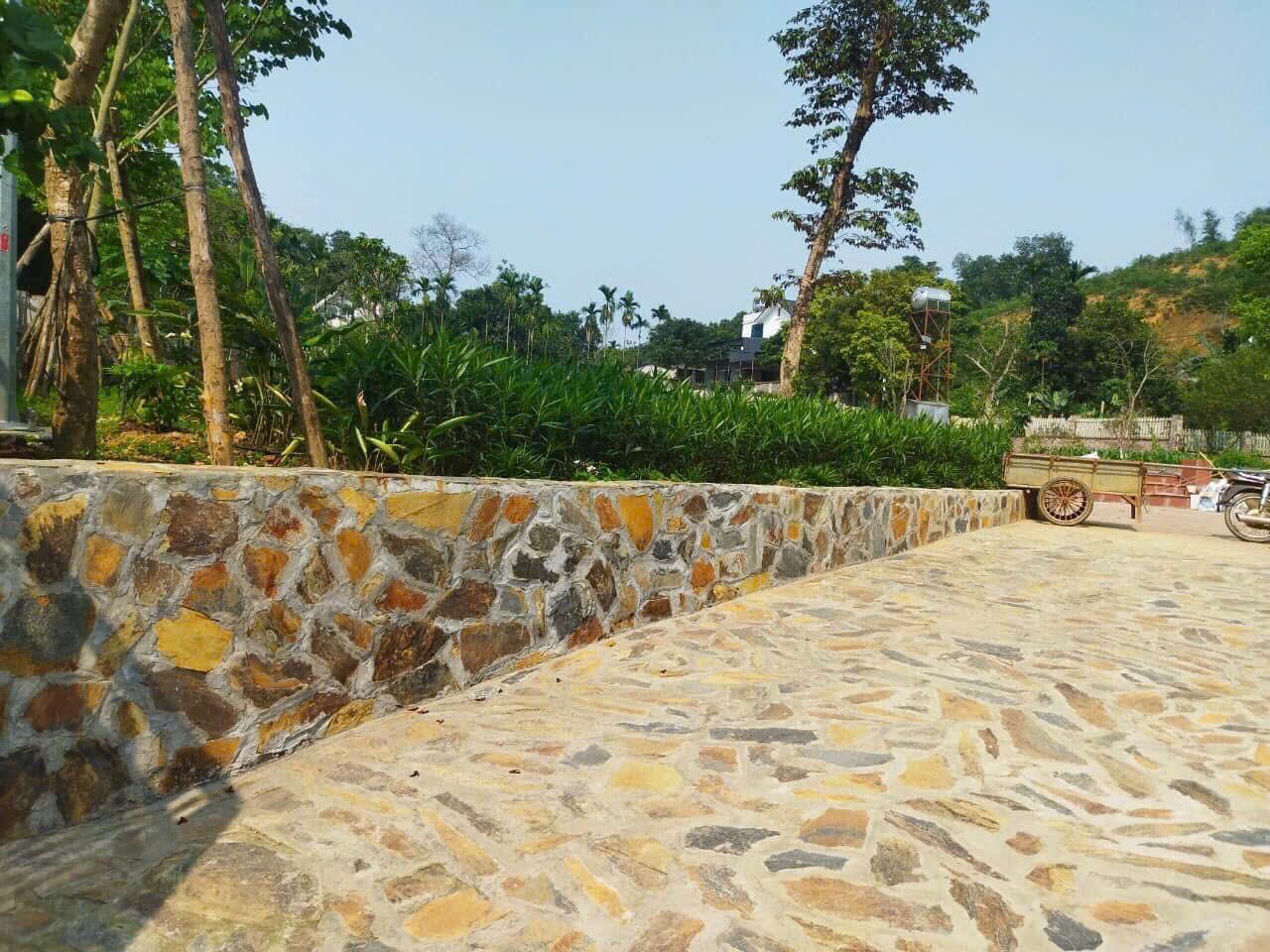 z6491335487335_2ab50d21b7cc060e3961086f24860520 z6491335487335_2ab50d21b7cc060e3961086f24860520