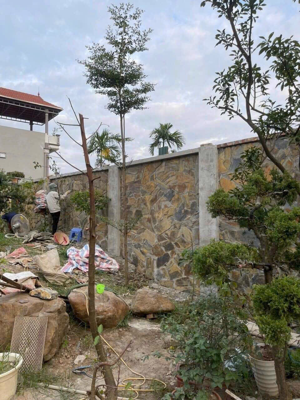 z6491335490008_8caed4ddcd4cd531b08e04faf58c45e9 z6491335490008_8caed4ddcd4cd531b08e04faf58c45e9