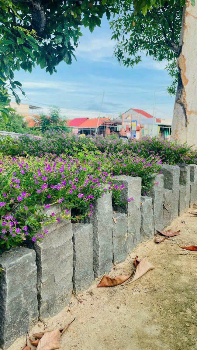 z6494128724976_a17238c6a0a2d27584235a76283583a1 z6494128724976_a17238c6a0a2d27584235a76283583a1