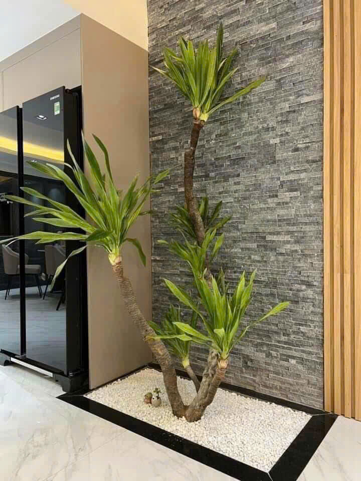 z6494300588734_d607d33a1246248199e112989afdd4e0 z6494300588734_d607d33a1246248199e112989afdd4e0