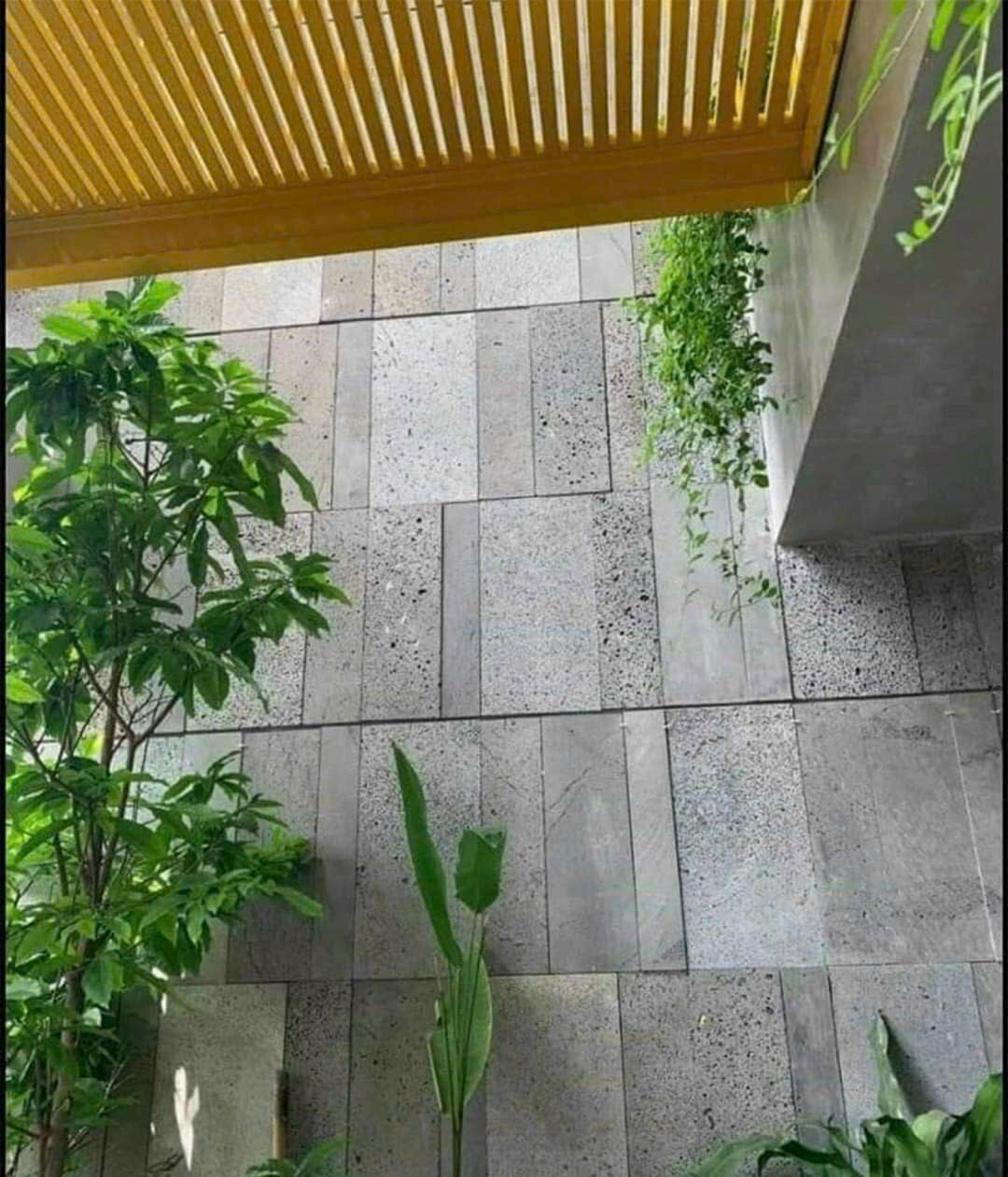 z6494303886271_436442c1b8f98203484c02f5a6b160b1 z6494303886271_436442c1b8f98203484c02f5a6b160b1