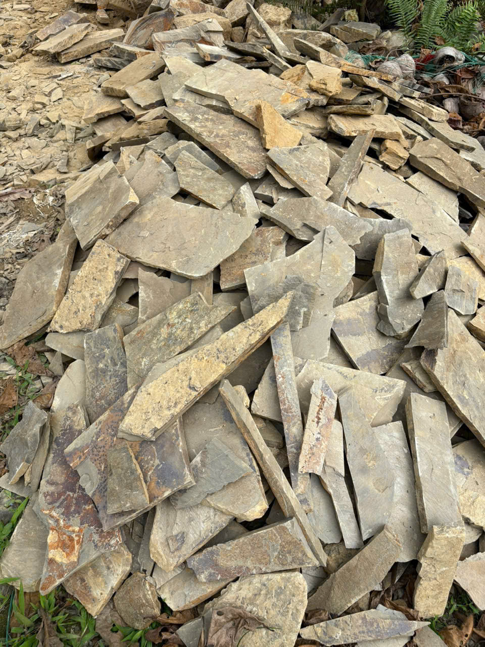 z6494342577904_40977449ffa32d051c48cfe028d01b50 z6494342577904_40977449ffa32d051c48cfe028d01b50