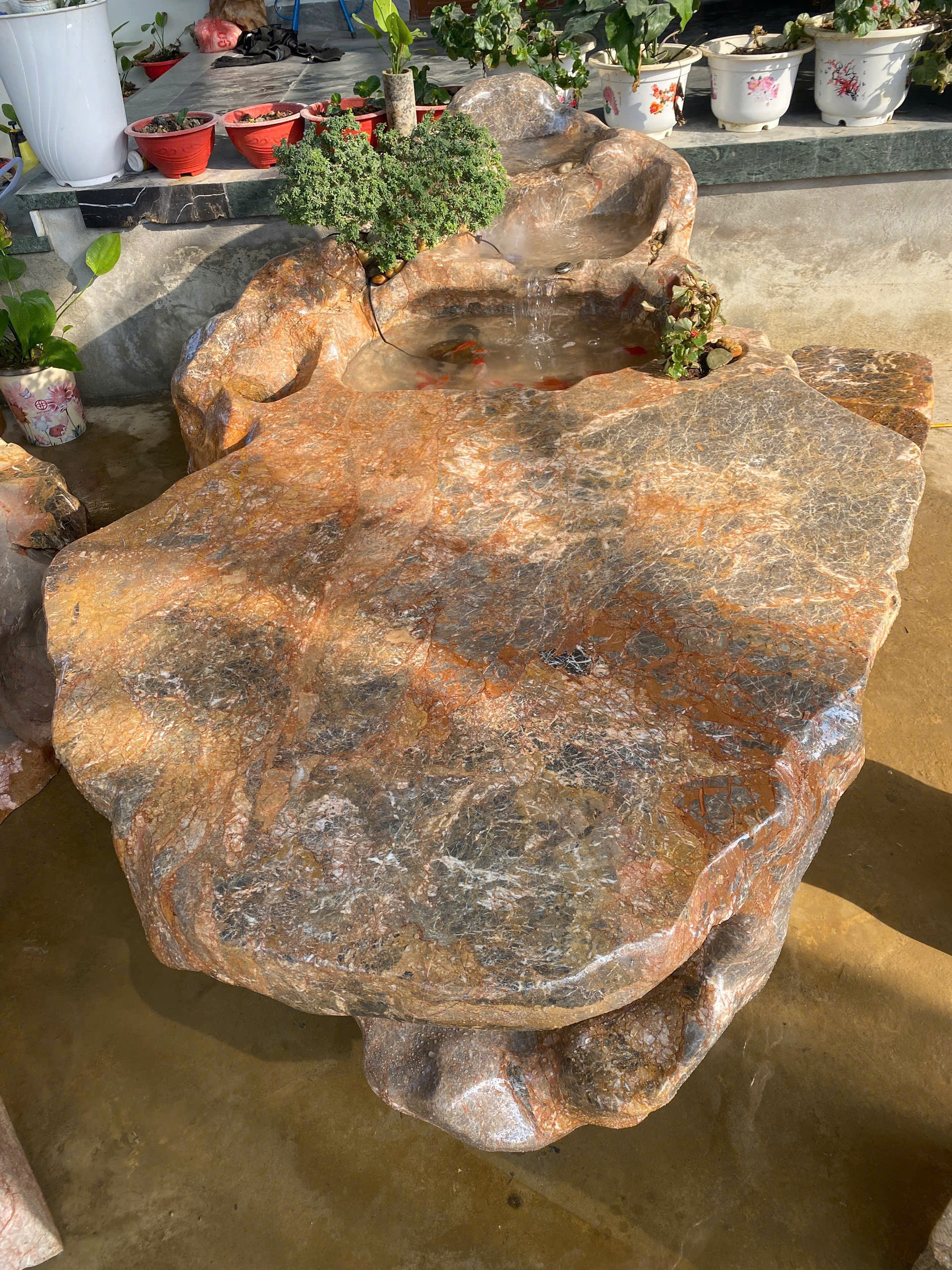 z6494413179403_f55366589fe56962dcac68a6eeb569c0 z6494413179403_f55366589fe56962dcac68a6eeb569c0