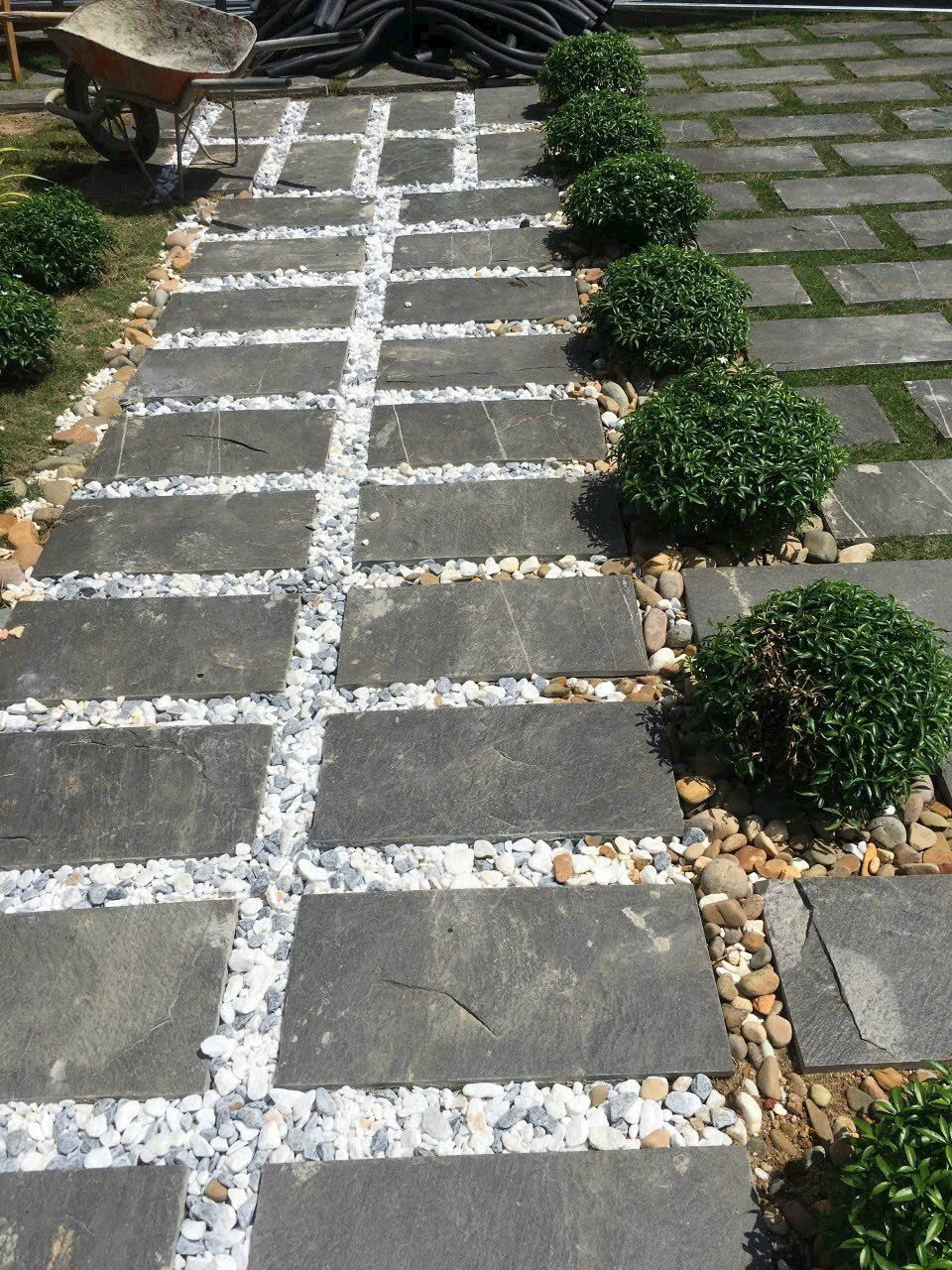 z6494413954806_5808c44a53bcd200f8a6d63cfb5829d4 z6494413954806_5808c44a53bcd200f8a6d63cfb5829d4