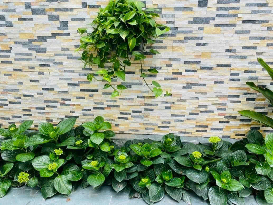 z6898236006077_1f680bf0c787f563f64bae1356de8269 z6898236006077_1f680bf0c787f563f64bae1356de8269